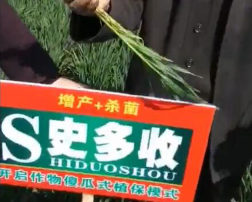 史多收