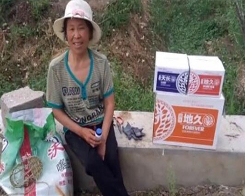 山东临沂小麦天长两遍